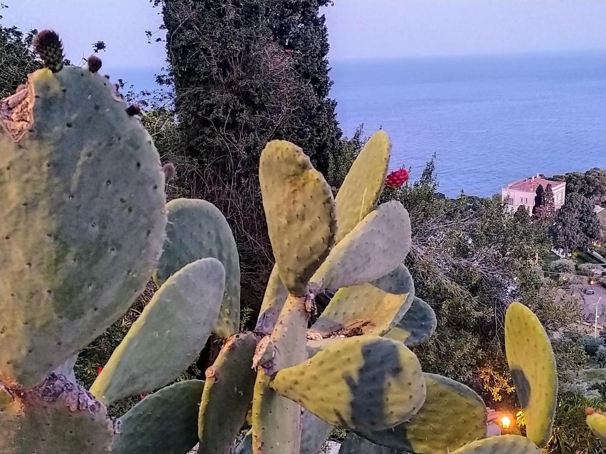 Blue Sky House Bed and Breakfast Ταορμίνα Εξωτερικό φωτογραφία